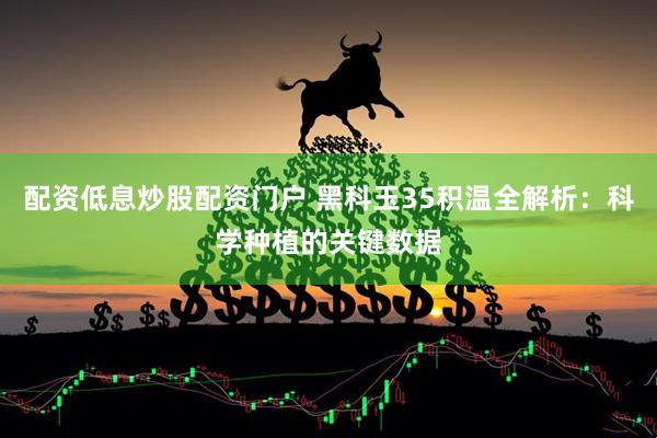 配资低息炒股配资门户 黑科玉35积温全解析：科学种植的关键数据