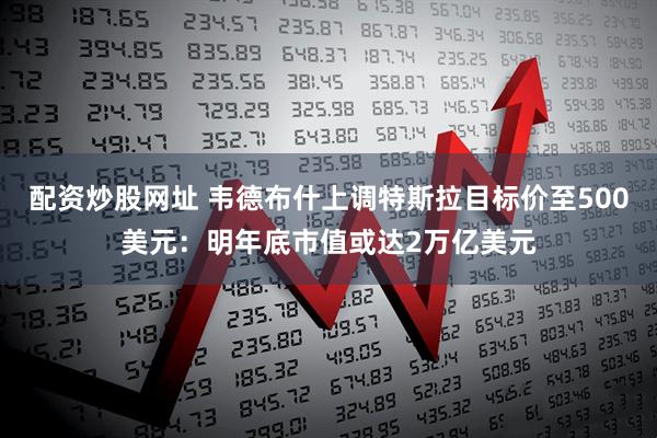 配资炒股网址 韦德布什上调特斯拉目标价至500美元：明年底市值或达2万亿美元